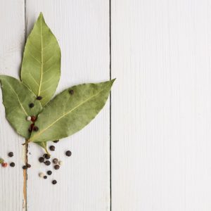 dry-laurel-leaves-white-background
