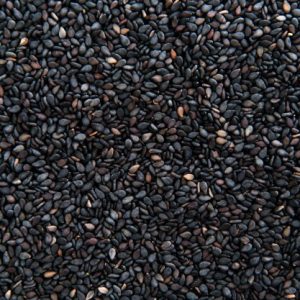 sesame seed